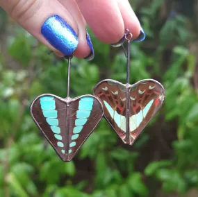 Bluebottle Butterfly Heart Variations Earrings - Wholesale