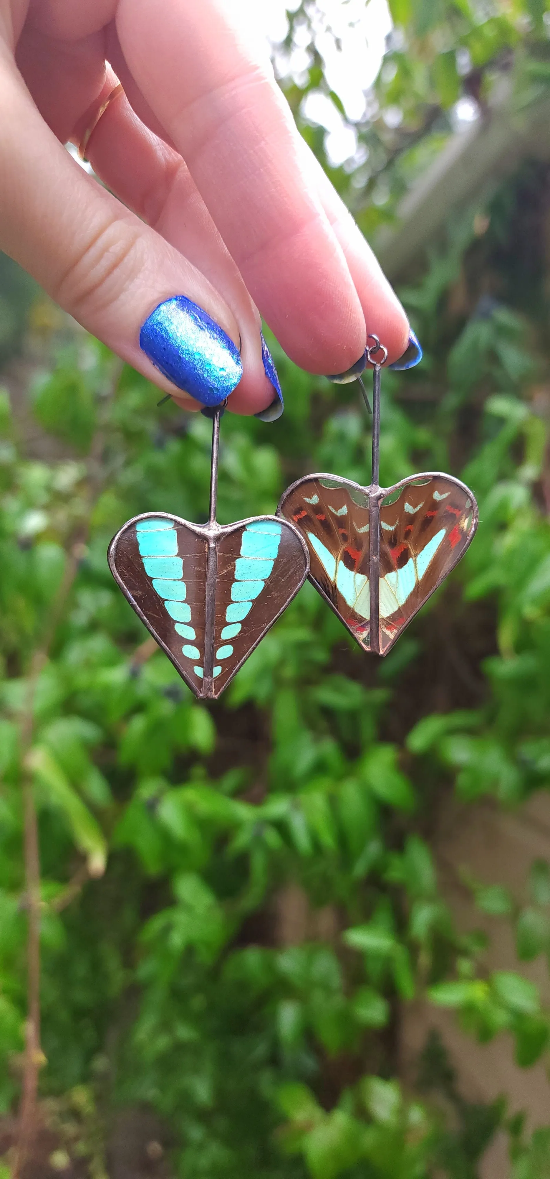 Bluebottle Butterfly Heart Variations Earrings - Wholesale