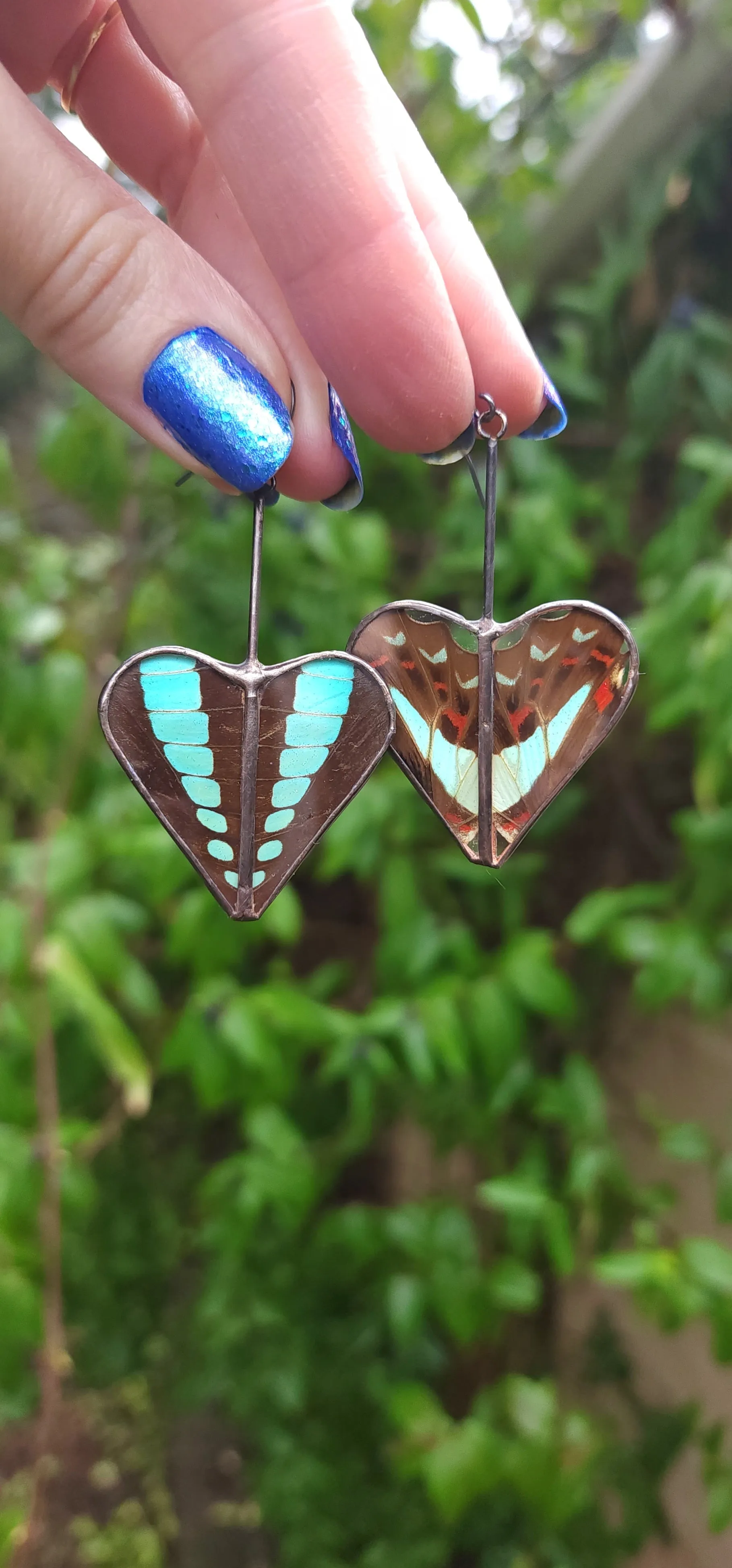 Bluebottle Butterfly Heart Variations Earrings - Wholesale