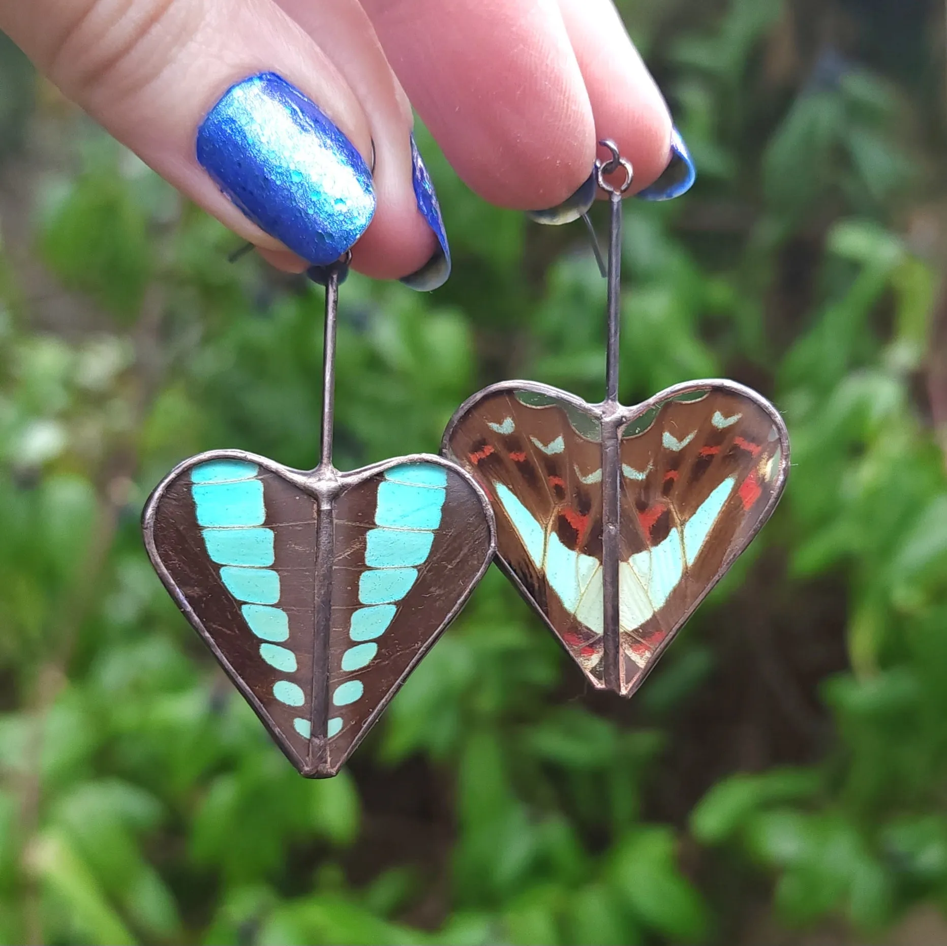 Bluebottle Butterfly Heart Variations Earrings - Wholesale