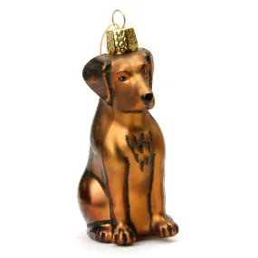 Chocolate Labrador Ornament