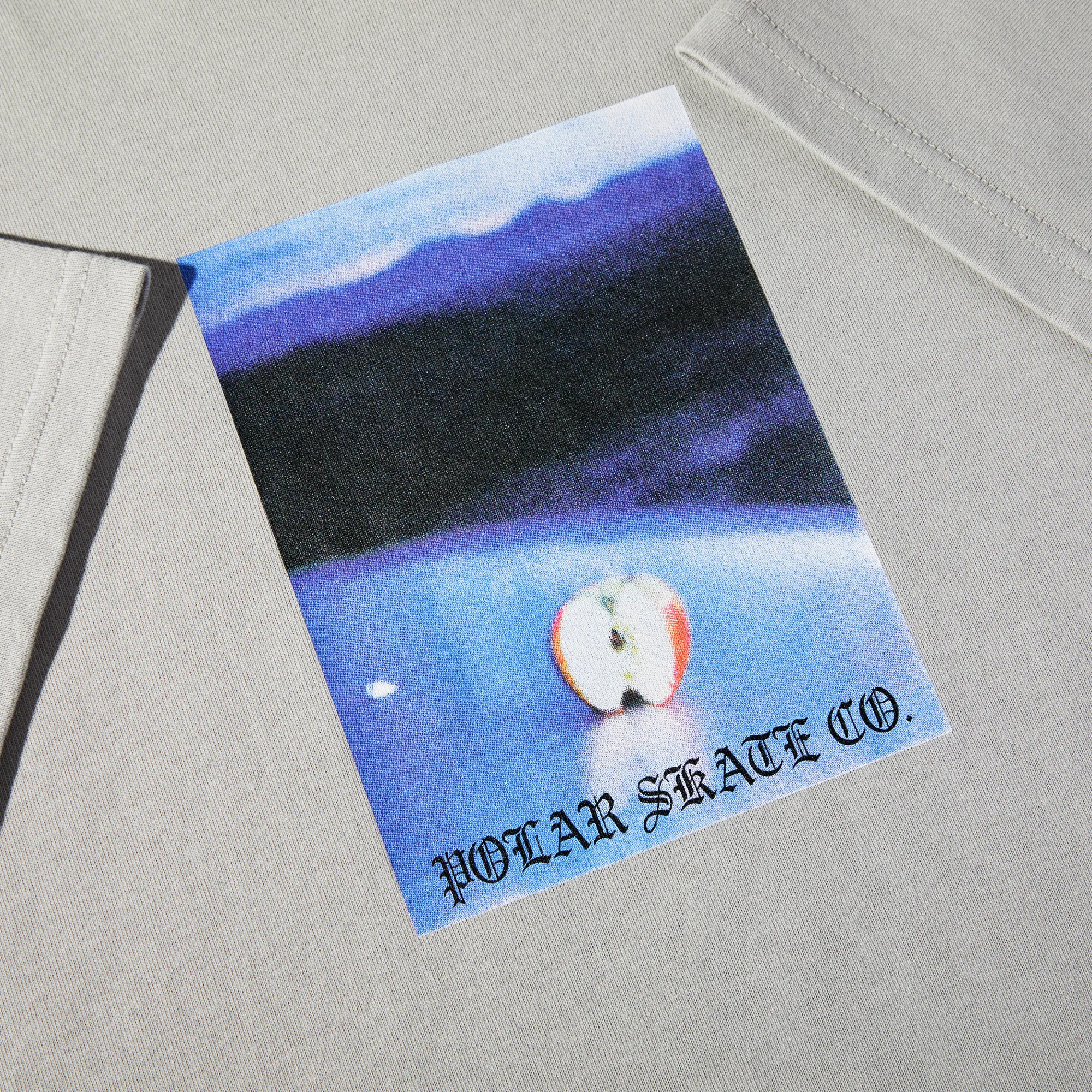 Polar Core Tee Silver