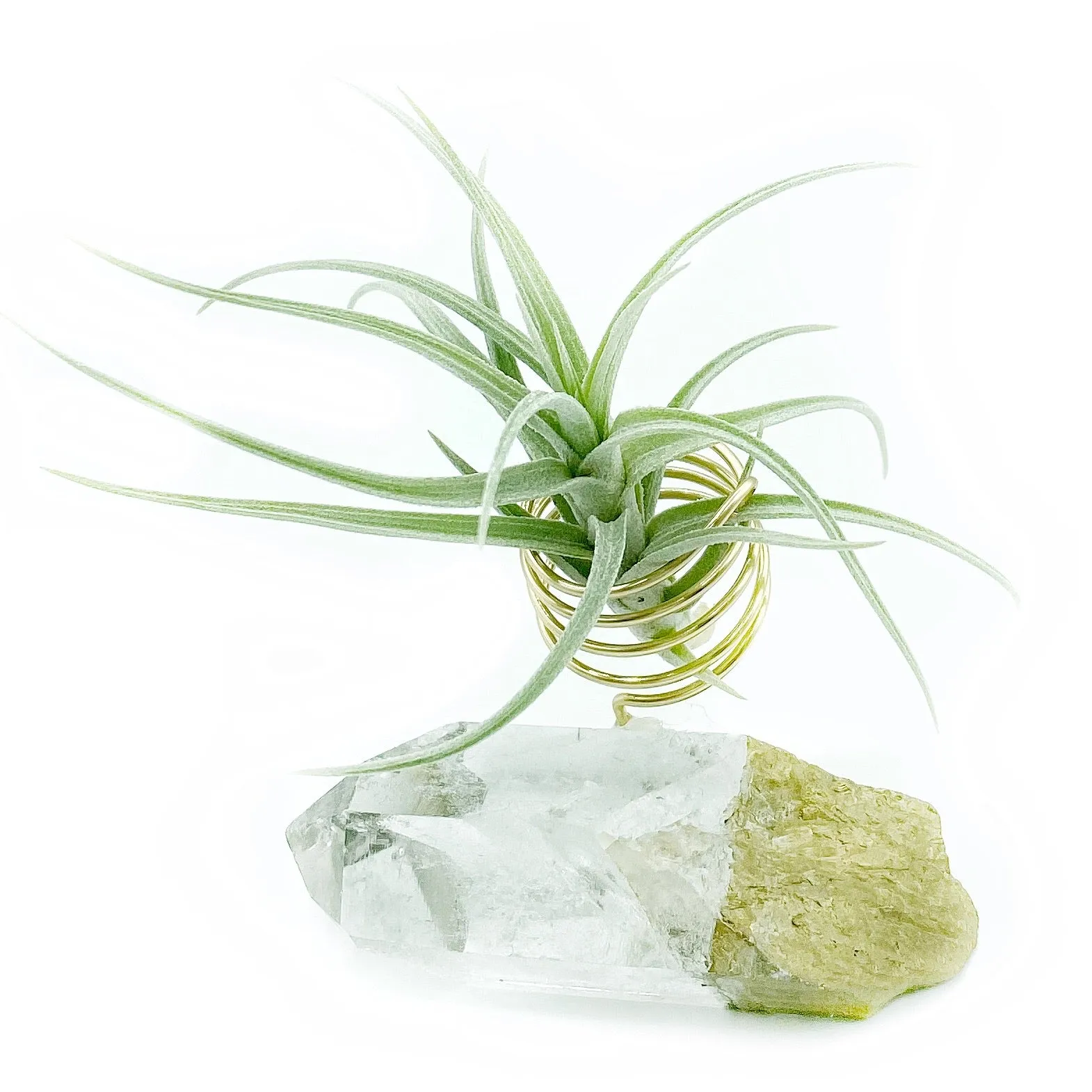 Quartz Crystal Air Plant Holder