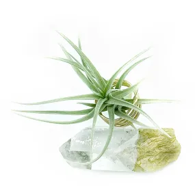 Quartz Crystal Air Plant Holder