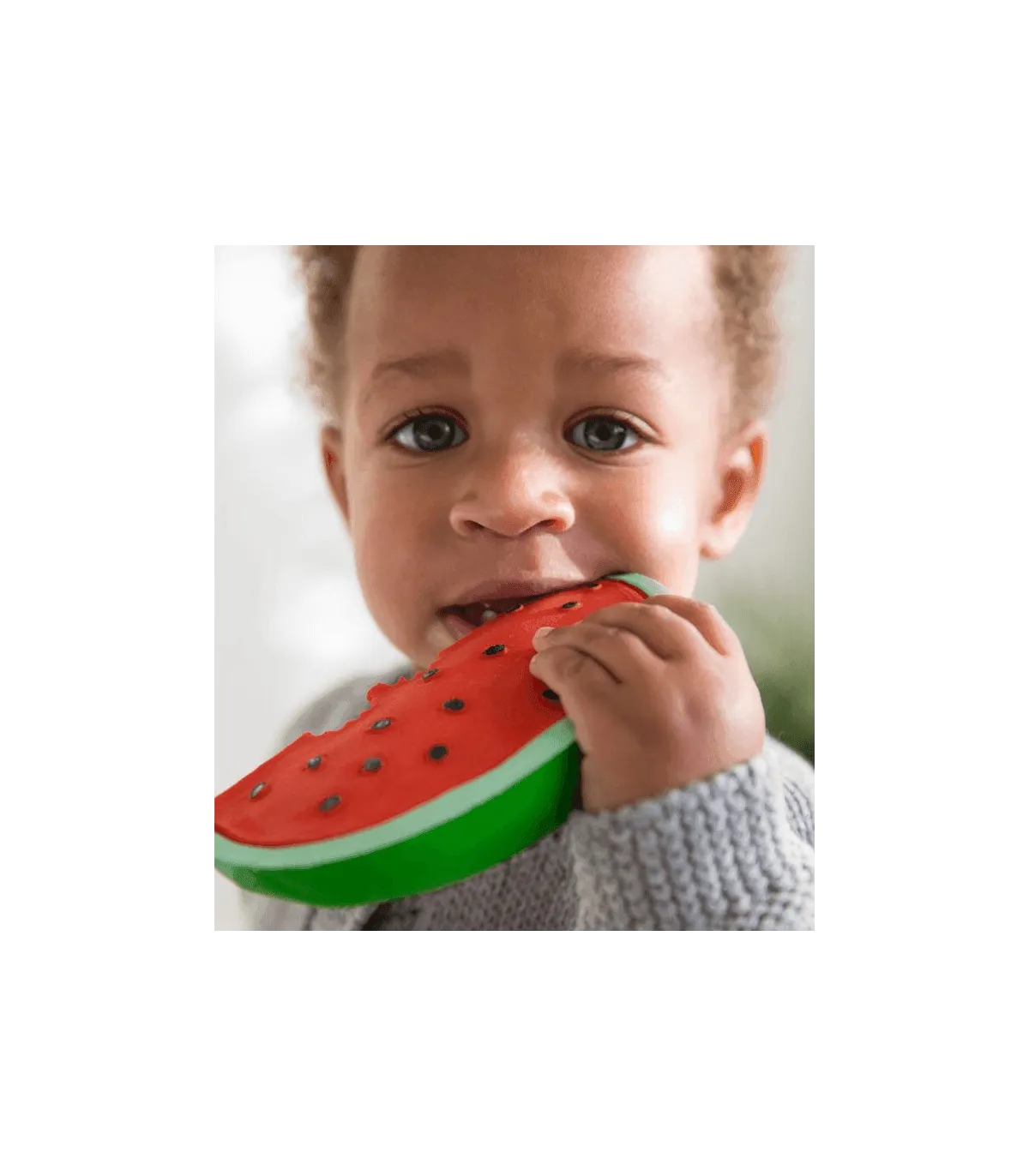 Teether - Walley the Watermelon